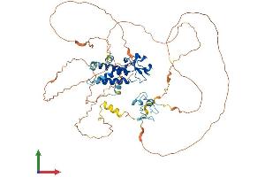 AlphaFold protein structure predicition of Human Recombinant MSL2 Protein, UniprotID Q9HCI7