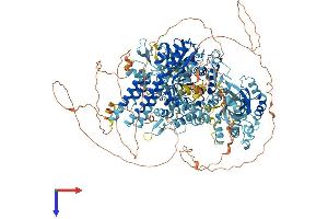 AlphaFold protein structure predicition of Mouse Recombinant Sbno1 Protein, UniprotID Q689Z5