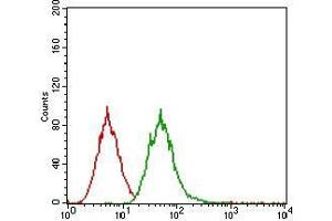 Flow cytometric analysis of A431 cells using EGFR mouse mAb (green) and negative control (red).
