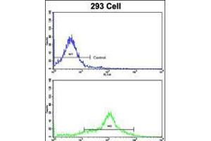 Flow cytometric analysis of 293 cells using EHD3 Antibody (bottom histogram) compared to a negative control cell (top histogram).