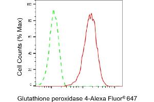 Flow cytometric analysis of Glutathione peroxidase 4 expression in HAP-1 cells using Glutathione peroxidase 4 antibody (ABIN7798753), 1:2,000). (Recombinant GPX4 anticorps)