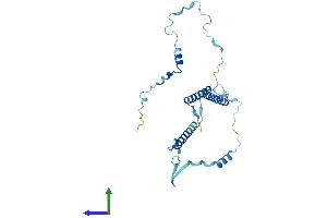 AlphaFold protein structure predicition of Human Recombinant ENKUR Protein, UniprotID Q8TC29