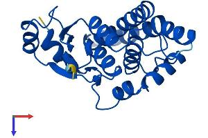 AlphaFold protein structure predicition of Human Recombinant GSTA4 Protein, UniprotID O15217