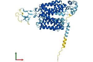 AlphaFold protein structure predicition of Mouse Recombinant Slc22a8 Protein, UniprotID O88909