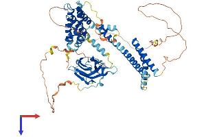 AlphaFold protein structure predicition of Human Recombinant GGA1 Protein, UniprotID Q9UJY5