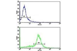 Flow cytometric analysis of WiDr cells using Cytokeratin-18 antibody (bottom histogram) compared to a negative control (top histogram).