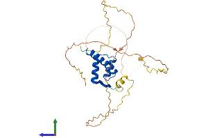 AlphaFold protein structure predicition of Human Recombinant HOXA9 Protein, UniprotID P31269