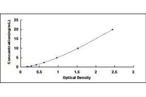 Angiotensin I Converting Enzyme (Peptidyl-Dipeptidase A) 1 (ACE) ELISA Kit