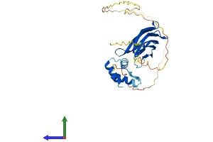 AlphaFold protein structure predicition of Mouse Recombinant Npm1 Protein, UniprotID Q61937