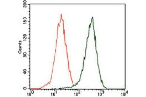 Flow Cytometry (FACS) image for anti-Sequestosome 1 (SQSTM1) (AA 232-356) antibody (ABIN1846090) (SQSTM1 anticorps  (AA 232-356))