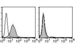 Flow Cytometry (FACS) image for anti-Tumor Necrosis Factor Receptor Superfamily, Member 13C (TNFRSF13C) antibody (PE) (ABIN1449228)