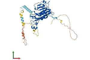 AlphaFold protein structure predicition of Human Recombinant METTL14 Protein, UniprotID Q9HCE5