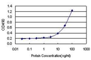 Sandwich ELISA detection sensitivity ranging from 3 ng/mL to 100 ng/mL. (SNAI1 (Humain) Matched Antibody Pair)