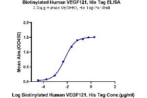Immobilized Human VEGFR1 at 0. (VEGF121 Protein (His-Avi Tag,Biotin))