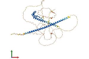 AlphaFold protein structure predicition of Human Recombinant TOX3 Protein, UniprotID O15405