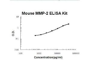 Mouse MMP-2 PicoKine ELISA Kit standard curve