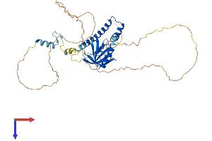 AlphaFold protein structure predicition of Mouse Recombinant Ipcef1 Protein, UniprotID Q5DU31