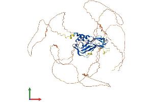 AlphaFold protein structure predicition of Mouse Recombinant Tbr1 Protein, UniprotID Q64336