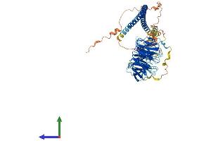 AlphaFold protein structure predicition of Human Recombinant SPAG16 Protein, UniprotID Q8N0X2