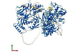 AlphaFold protein structure predicition of Mouse Recombinant Nos2 Protein, UniprotID P29477