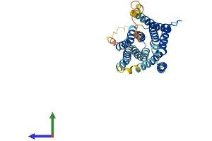 AlphaFold protein structure predicition of Mouse Recombinant Slc39a1 Protein, UniprotID Q9QZ03