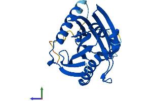 AlphaFold protein structure predicition of Mouse Recombinant Stard4 Protein, UniprotID Q99JV5