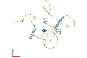 AlphaFold protein structure predicition of Mouse Recombinant Fam110a Protein, UniprotID Q8R184