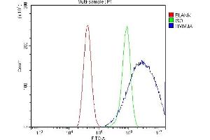Flow Cytometry analysis of A431 cells using anti-TIMM8A/DDP antibody (ABIN7600039). (TIMM8A/DDP anticorps  (AA 14-97))