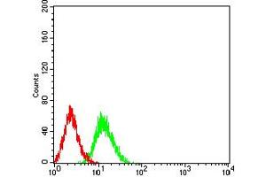 Flow cytometric analysis of Jurkat cells using PRKAA2 mouse mAb (green) and negative control (red).