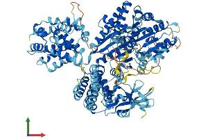 AlphaFold protein structure predicition of Human Recombinant RIGI Protein, UniprotID O95786