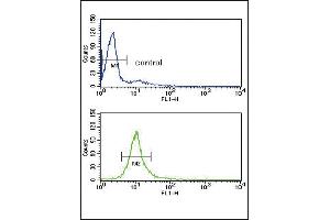 CYP51A1 Antibody (Center) (ABIN652820 and ABIN2842535) flow cytometry analysis of HL-60 cells (bottom histogram) compared to a negative control cell (top histogram).