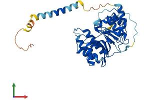 AlphaFold protein structure predicition of Mouse Recombinant A4galt Protein, UniprotID Q67BJ4