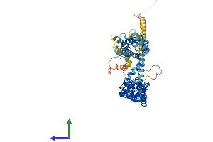 AlphaFold protein structure predicition of Human Recombinant KCNS1 Protein, UniprotID Q96KK3