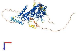 AlphaFold protein structure predicition of Mouse Recombinant Pi4k2b Protein, UniprotID Q8CBQ5