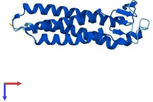 Epithelial Membrane Protein 2 (EMP2) (AA 1-167) protein (His tag)