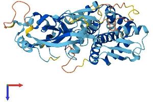 AlphaFold protein structure predicition of Human Recombinant GSDMA Protein, UniprotID Q96QA5