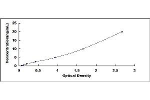 Typical standard curve (SQSTM1 Kit ELISA)