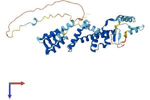AlphaFold protein structure predicition of Mouse Recombinant Tada1 Protein, UniprotID Q99LM9