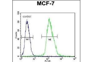 MF Antibody (C-term) 940b flow cytometric analysis of MCF-7 cells (right histogram) compared to a negative control cell (left histogram). (MFAP4 anticorps  (C-Term))