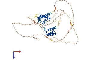AlphaFold protein structure predicition of Mouse Recombinant Pou2f3 Protein, UniprotID P31362