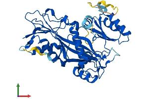 AlphaFold protein structure predicition of Mouse Recombinant Ttl Protein, UniprotID P38585