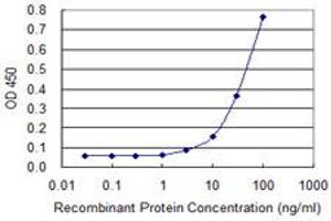 Detection limit for recombinant GST tagged ZIC3 is approximately 10ng/ml as a capture antibody. (ZIC3 anticorps  (AA 182-274))