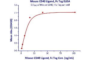 Immobilized Mouse CD40, His Tag  with a linear range of 1-16 ng/mL. (CD40 Protein (CD40) (AA 24-193) (His tag))