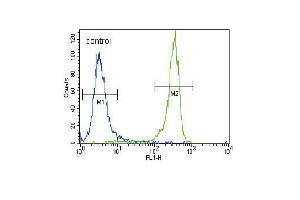 FGFR2 Antibody (N-term R22) (ABIN391967 and ABIN2841763) flow cytometric analysis of NCI- cells (right histogram) compared to a negative control cell (left histogram). (FGFR2 anticorps  (N-Term))