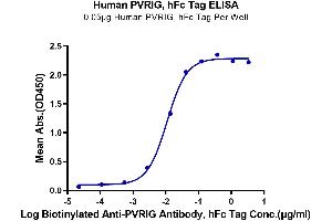 Immobilized Human PVRIG, hFc Tag at 0. (PVRIG Protein (AA 41-171) (Fc Tag))