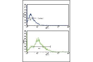 Flow cytometric analysis of HL-60 cells using CD3G Antibody (bottom histogram) compared to a negative control cell (top histogram).