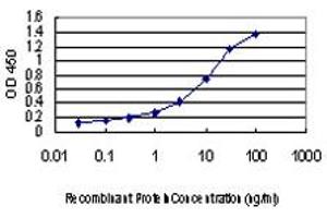 Detection limit for recombinant GST tagged FLJ20643 is approximately 0.
