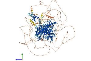 AlphaFold protein structure predicition of Human Recombinant TUT4 Protein, UniprotID Q5TAX3
