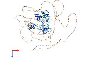 AlphaFold protein structure predicition of Mouse Recombinant Sh3rf1 Protein, UniprotID Q69ZI1