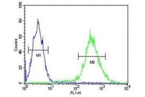 STING antibody flow cytometric analysis of Jurkat cells (green) compared to a negative control (blue).
